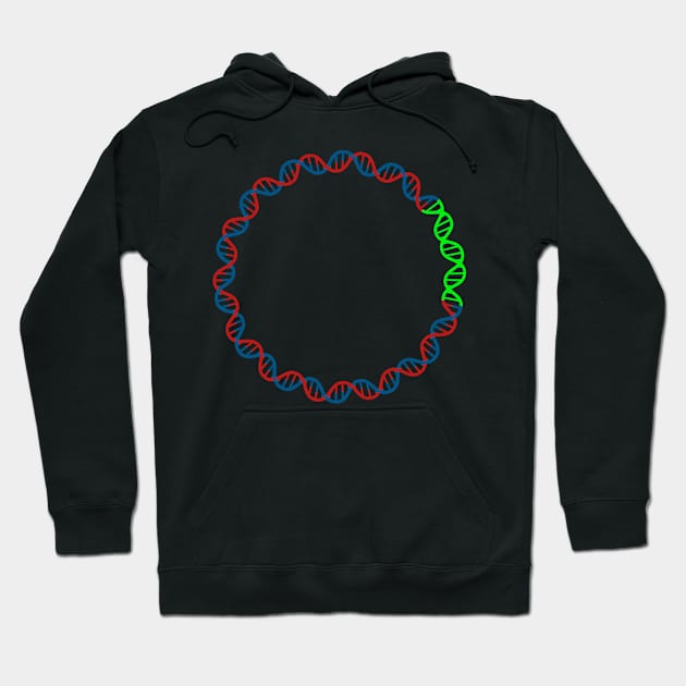 Circular DNA Double Stranded Green fluorescent protein Hoodie by labstud